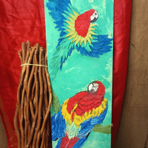 2 Ft Macaw Pair Masterclass