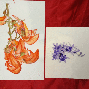 Watercolour Masterclass